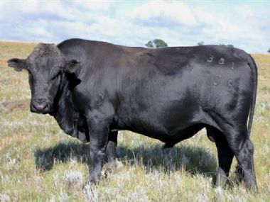 2012 BV Union - Tweede hoogste prys - R 90 000