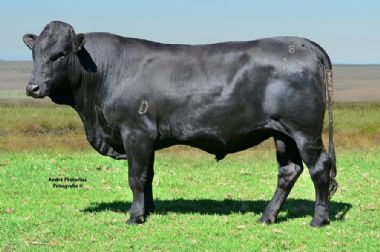 Lot 24 - 